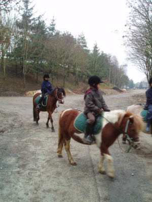 BZH2006021