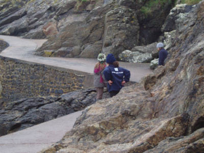 BZH2006039
