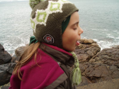 BZH2006040