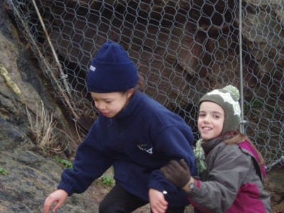 BZH2006041