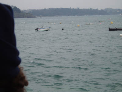 BZH2006049