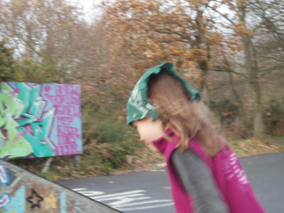 BZH2006063