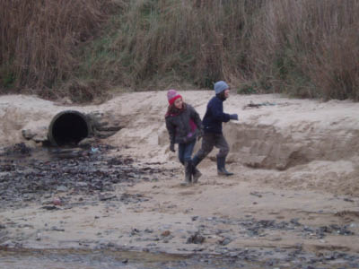 BZH2006115