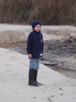 BZH2006116