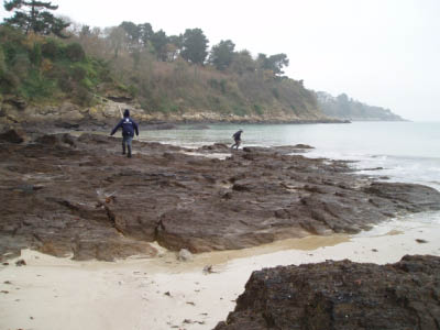 BZH2006119