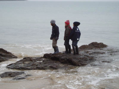BZH2006120