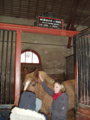 BZH2006126_edited-1