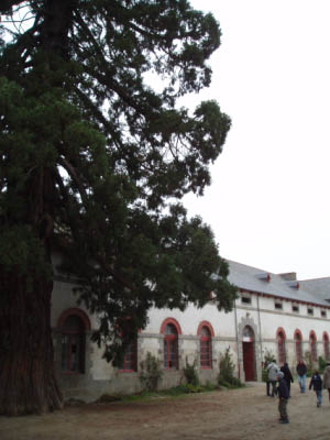 BZH2006130