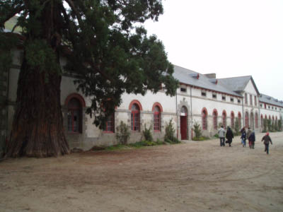 BZH2006131